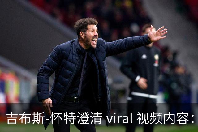 吉布斯-怀特澄清 viral 视频内容：仅是玩笑，代表国家永远是首要